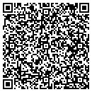 QR code with Progress Painting Inc contacts