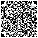 QR code with Public Works contacts