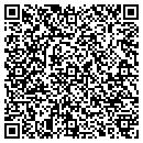 QR code with Borrowed Broke Music contacts