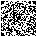 QR code with Public Storage contacts
