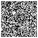 QR code with Pyramid Construction Comp contacts