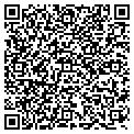 QR code with Orlich contacts