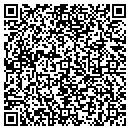 QR code with Crystal Tower Group Inc contacts