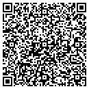 QR code with Pur Motion contacts