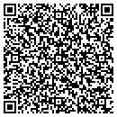 QR code with Purr Factory contacts