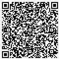 QR code with Fygig contacts