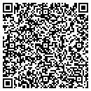QR code with Psychic gallery contacts