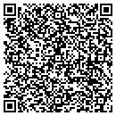 QR code with Pro-Tek Consulting contacts