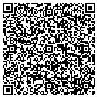 QR code with B and V productions LLC contacts