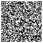 QR code with Blink It Solutions LLC contacts