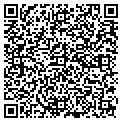 QR code with Life N contacts
