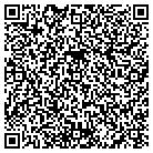 QR code with Platinum Db Consulting contacts