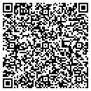 QR code with Protosoft Inc contacts
