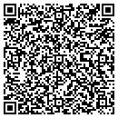 QR code with Primesoft Inc contacts