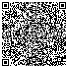 QR code with Public Systems Inc contacts
