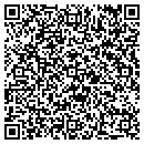 QR code with Pulaski Wavaho contacts