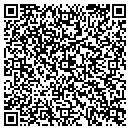 QR code with prettynsassy contacts
