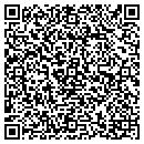 QR code with Purvis Analytics contacts