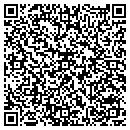 QR code with Progress LLC contacts