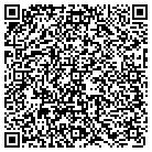 QR code with Punchmax Tech Solutions Inc contacts