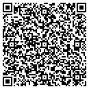 QR code with Premiere Performance contacts