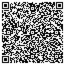 QR code with Public Library Systems contacts