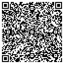 QR code with Punctual Planning contacts