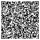 QR code with Pyatt Fire Department contacts
