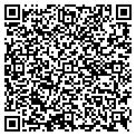 QR code with Engine contacts