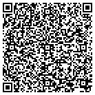 QR code with Publicintas Globe Media contacts