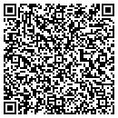 QR code with Pulse Digital contacts