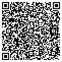 QR code with Vita contacts