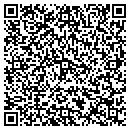 QR code with Puckorius & Assoc Inc contacts