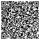 QR code with CARLINSURANCE.COM contacts