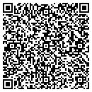 QR code with Cybernian Systems Inc contacts