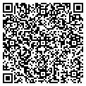 QR code with Dallas Techs contacts