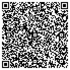 QR code with Bizzaro Solutions Inc contacts