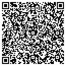 QR code with Cayo | Software, LLC contacts