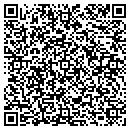 QR code with Professional Bindery contacts