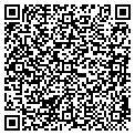 QR code with Magi contacts