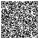 QR code with Push Cars USA Inc contacts