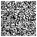 QR code with Castine Michael R MD contacts
