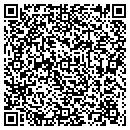 QR code with Cummins and Brown LLC contacts