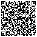 QR code with Colliers contacts