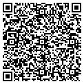 QR code with Hvllc contacts