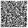 QR code with Msw LLC contacts