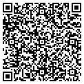 QR code with New Royal Taj contacts