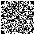 QR code with Modallc contacts