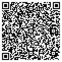 QR code with Sight contacts
