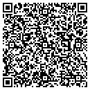 QR code with Precision Power Inc contacts